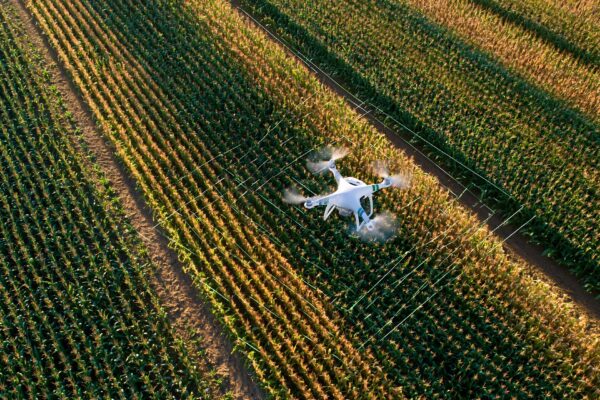 Afacerile cu drone: filmări, agricultură și inspecții